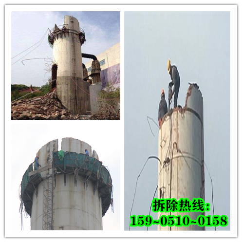 timg (7)_副本_副本.png