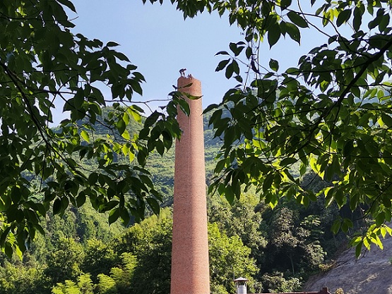 1691386948870062.jpg 410eb545e063de31f1e7678bd51906e.jpg