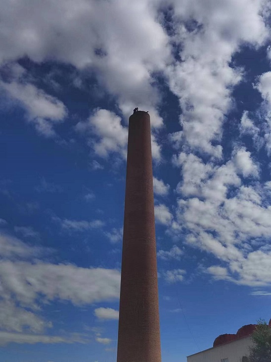 1695608149271770.jpg 54cf4db5e8ebaf21bcf3437469f8500.jpg