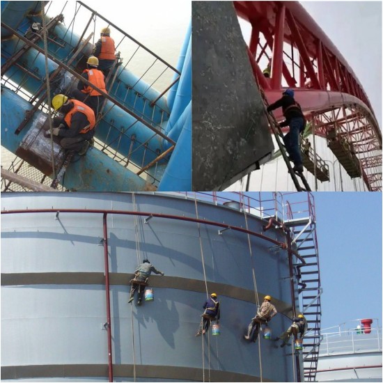 1698025344464456.jpg 8.jpg