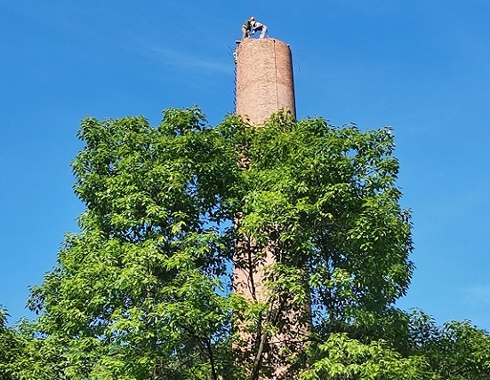 1698622087651914.jpg 0f9e9472f641f627387e898173749da.jpg