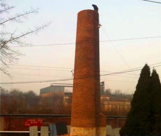 1714333101584391.jpg timg (85).jpg