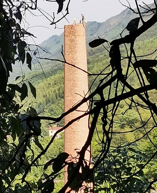 1717375442731742.jpg 3719c4b23d61b869da09bfa6483bd50.jpg