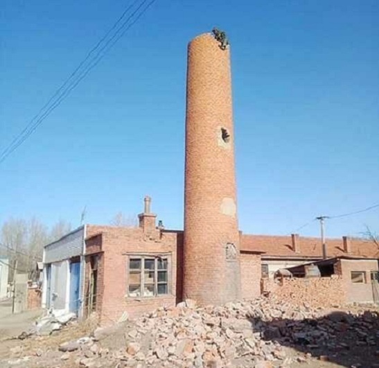 1736829315219507.jpg 20200507ken1588832073.jpg