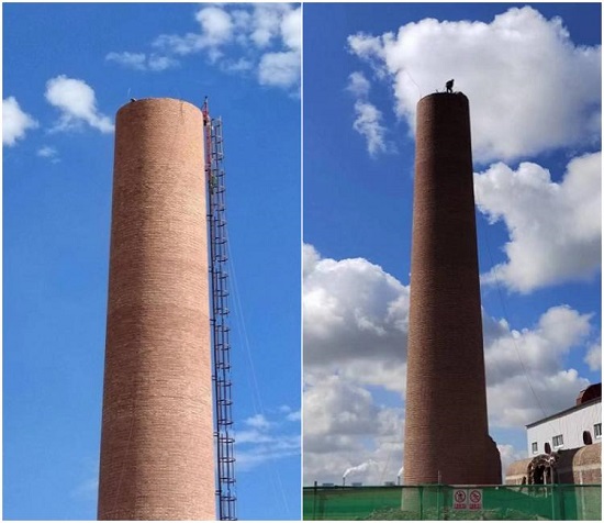 1749420264147324.jpg 011.jpg